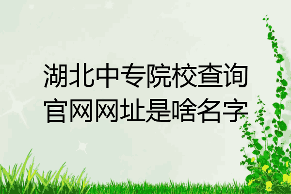 湖北中专院校查询官网网址是啥名字