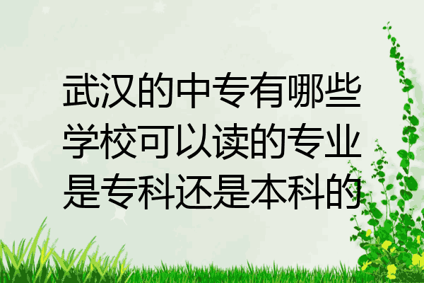 武汉的中专有哪些学校可以读的专业是专科还是本科的