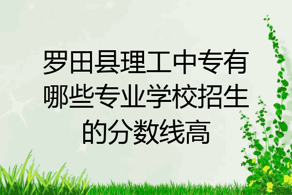 罗田县理工中专有哪些专业学校招生的分数线高