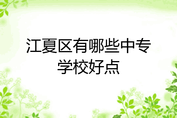 江夏区有哪些中专学校好点