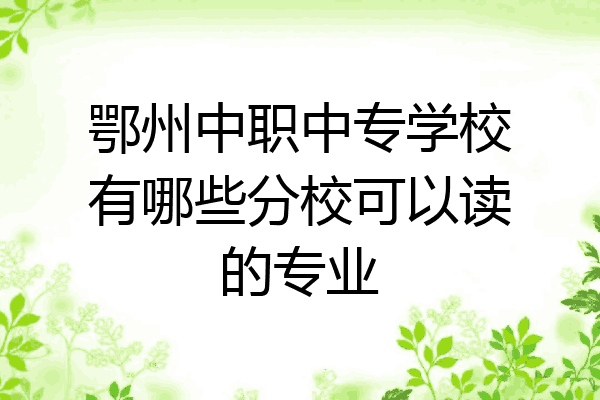 鄂州中职中专学校有哪些分校可以读的专业