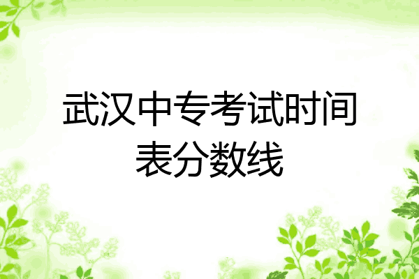 武汉中专考试时间表分数线