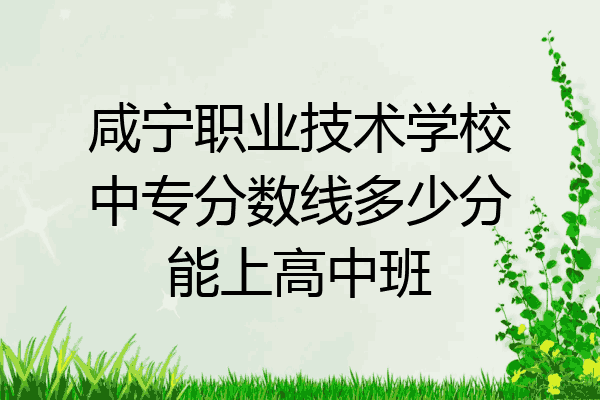 咸宁职业技术学校中专分数线多少分能上高中班