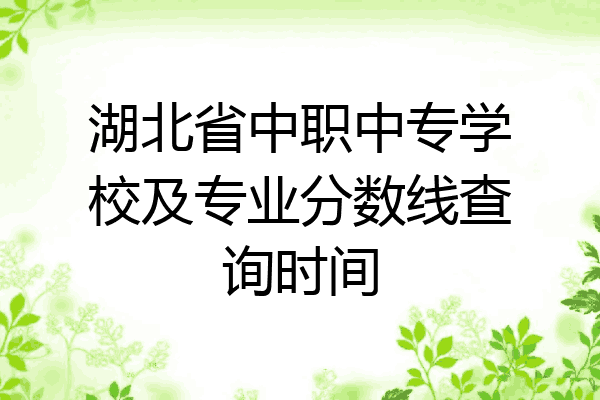 湖北省中职中专学校及专业分数线查询时间