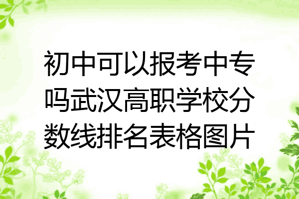 初中可以报考中专吗武汉高职学校分数线排名表格图片