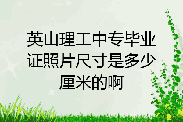 英山理工中专毕业证照片尺寸是多少厘米的啊