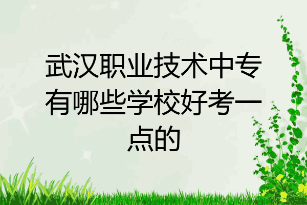 武汉职业技术中专有哪些学校好考一点的