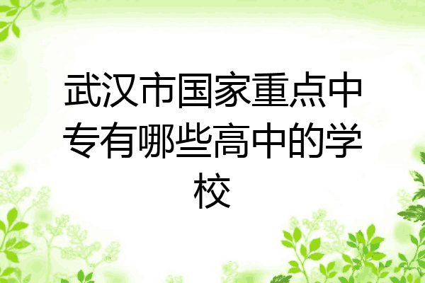 武汉市国家重点中专有哪些高中的学校