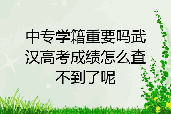 中专学籍重要吗武汉高考成绩怎么查不到了呢