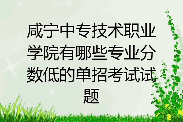 咸宁中专技术职业学院有哪些专业分数低的单招考试试题
