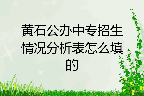 黄石公办中专招生情况分析表怎么填的