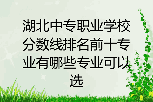 湖北中专职业学校分数线排名前十专业有哪些专业可以选