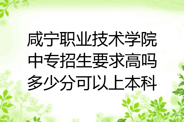 咸宁职业技术学院中专招生要求高吗多少分可以上本科