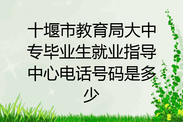 十堰市教育局大中专毕业生就业指导中心电话号码是多少