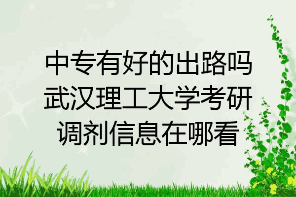 中专有好的出路吗武汉理工大学考研调剂信息在哪看