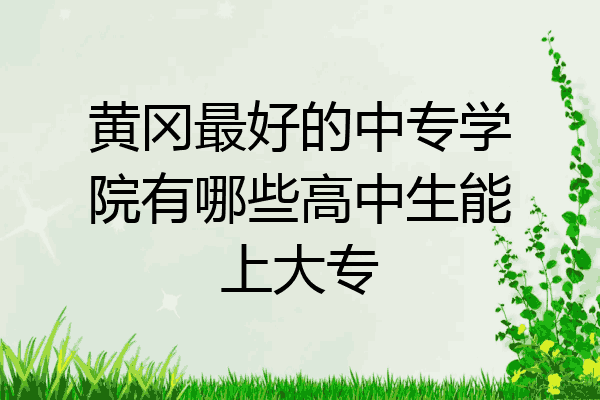 黄冈最好的中专学院有哪些高中生能上大专