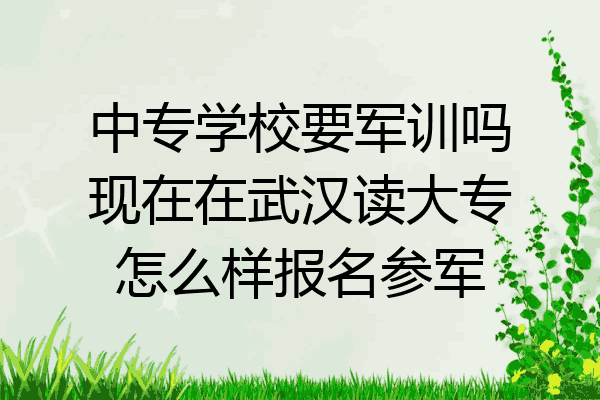 中专学校要军训吗现在在武汉读大专怎么样报名参军