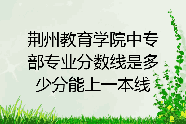 荆州教育学院中专部专业分数线是多少分能上一本线