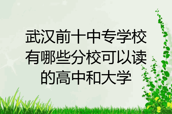 武汉前十中专学校有哪些分校可以读的高中和大学