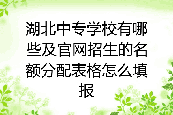 湖北中专学校有哪些及官网招生的名额分配表格怎么填报