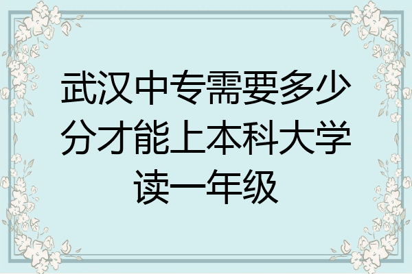 武汉中专需要多少分才能上本科大学读一年级