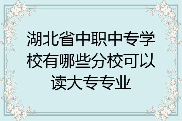 湖北省中职中专学校有哪些分校可以读大专专业