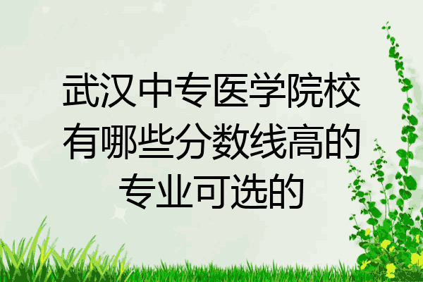 武汉中专医学院校有哪些分数线高的专业可选的
