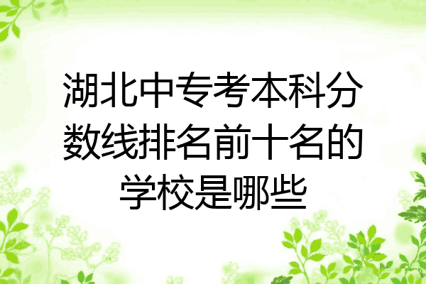 湖北中专考本科分数线排名前十名的学校是哪些