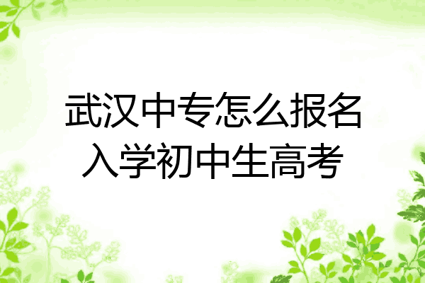 武汉中专怎么报名入学初中生高考