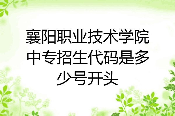 襄阳职业技术学院中专招生代码是多少号开头