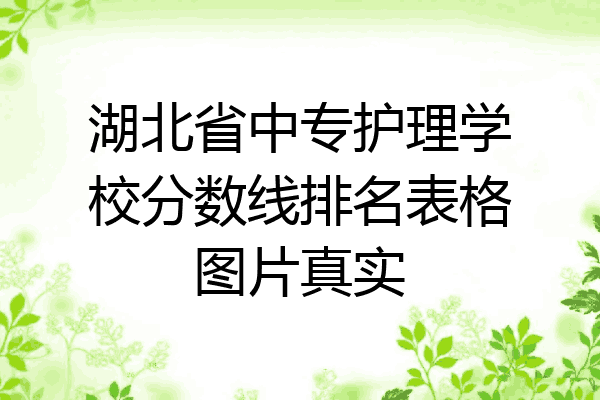 湖北省中专护理学校分数线排名表格图片真实