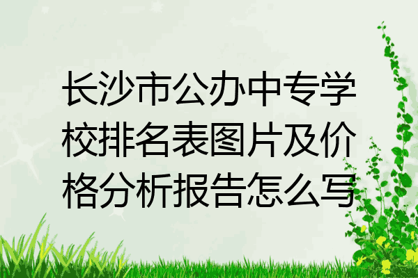 长沙市公办中专学校排名表图片及价格分析报告怎么写