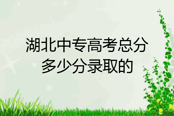 湖北中专高考总分多少分录取的