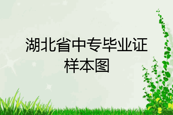 湖北省中专毕业证样本图