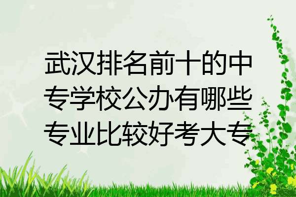 武汉排名前十的中专学校公办有哪些专业比较好考大专