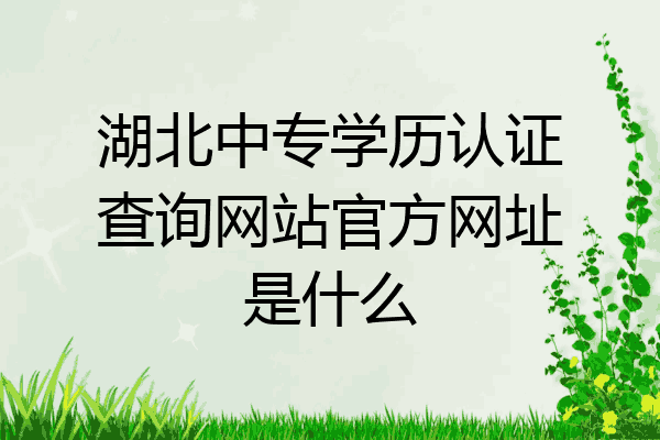 湖北中专学历认证查询网站官方网址是什么