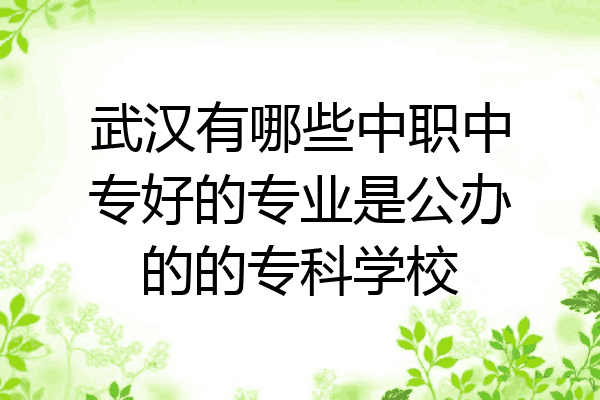 武汉有哪些中职中专好的专业是公办的的专科学校