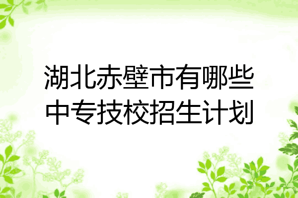 湖北赤壁市有哪些中专技校招生计划