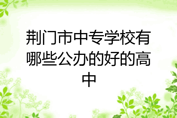 荆门市中专学校有哪些公办的好的高中