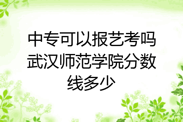中专可以报艺考吗武汉师范学院分数线多少
