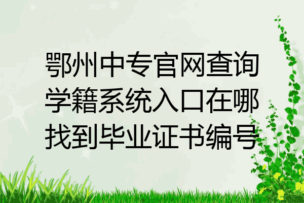 鄂州中专官网查询学籍系统入口在哪找到毕业证书编号