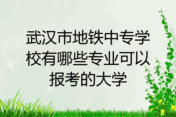 武汉市地铁中专学校有哪些专业可以报考的大学