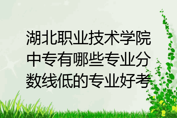湖北职业技术学院中专有哪些专业分数线低的专业好考