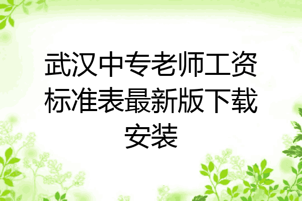 武汉中专老师工资标准表最新版下载安装