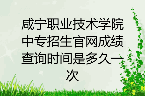 咸宁职业技术学院中专招生官网成绩查询时间是多久一次