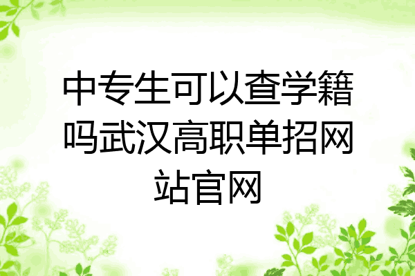 中专生可以查学籍吗武汉高职单招网站官网