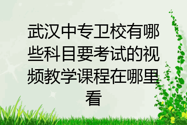 武汉中专卫校有哪些科目要考试的视频教学课程在哪里看