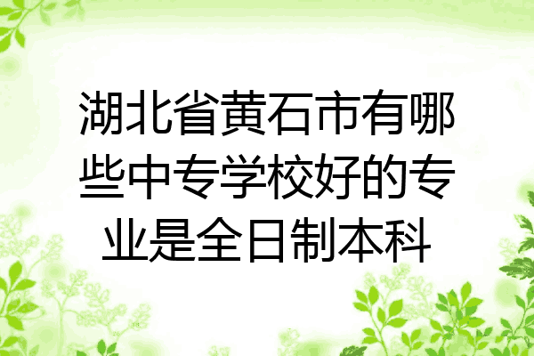 湖北省黄石市有哪些中专学校好的专业是全日制本科