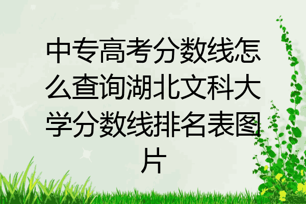 中专高考分数线怎么查询湖北文科大学分数线排名表图片