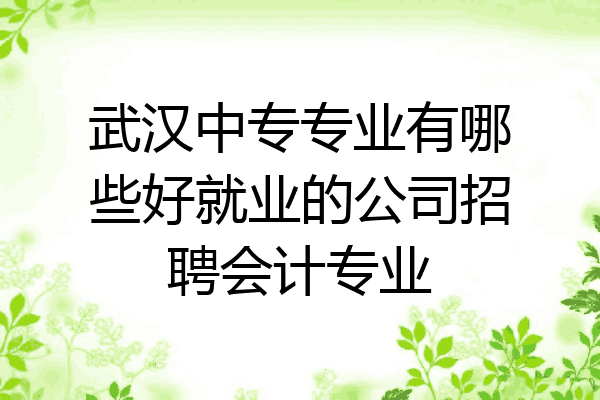 武汉中专专业有哪些好就业的公司招聘会计专业